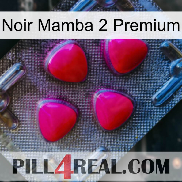 Black Mamba 2 Premium 13